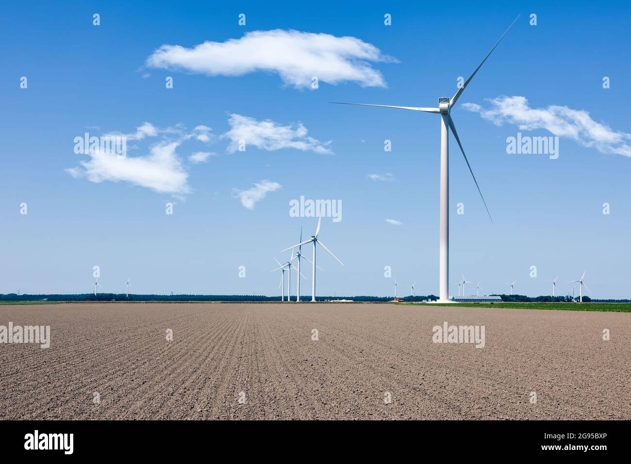 Ackerland mit Windturbinenpark in der Nähe des niederländischen Dorfes Zeewolde Stockfoto