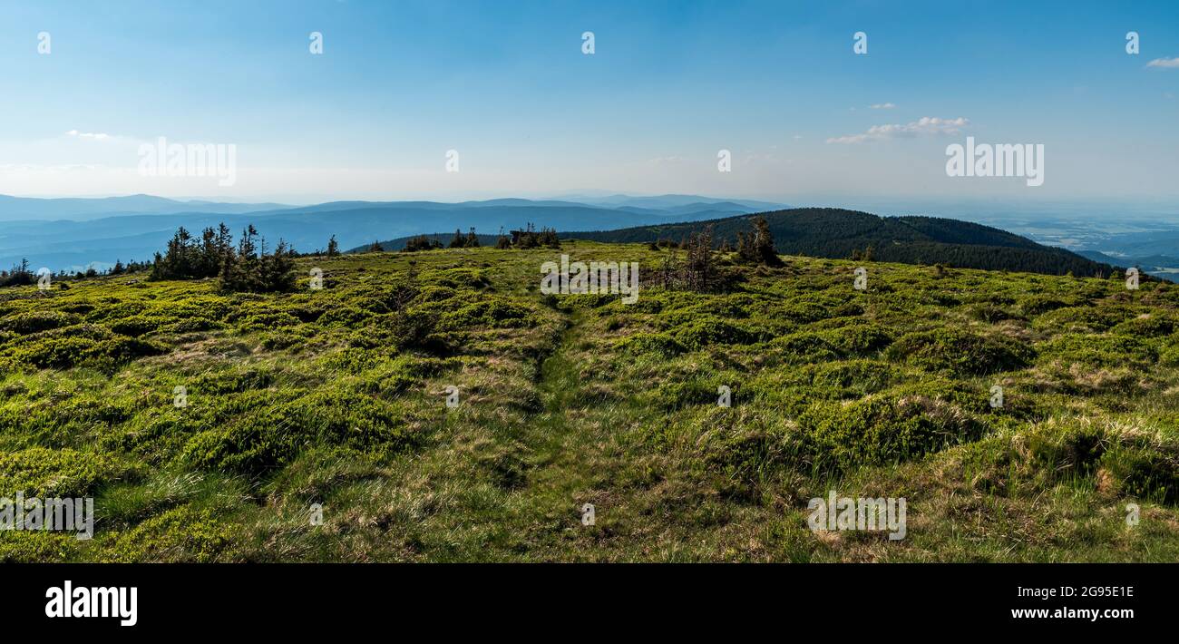 Blick nach Westen vom Keprnik-Gipfel in den Jeseniky-Bergen in Tschechien während des Sommertages mit blauem Himmel Stockfoto