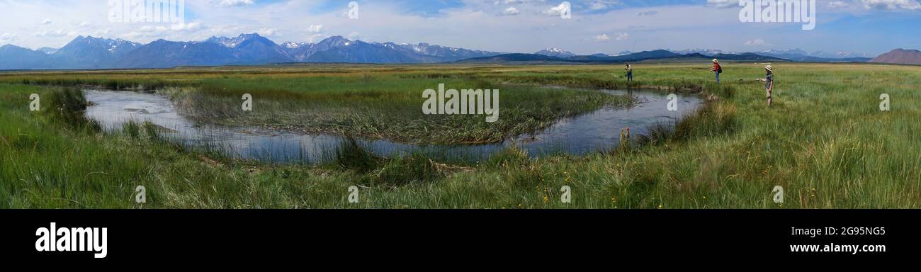 Familie Fliegenfischen für Forellen, auf dem Owens River, Mono, Kalifornien Stockfoto