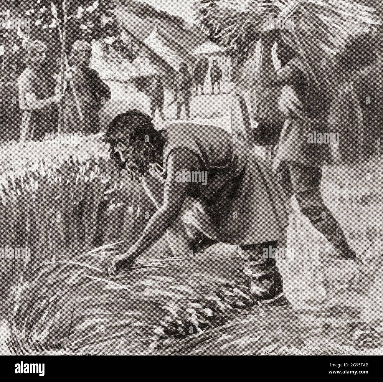 Die alten Briten sammeln die Ernte. From History of England, 55B.C. to the Present time, veröffentlicht 1907. Stockfoto