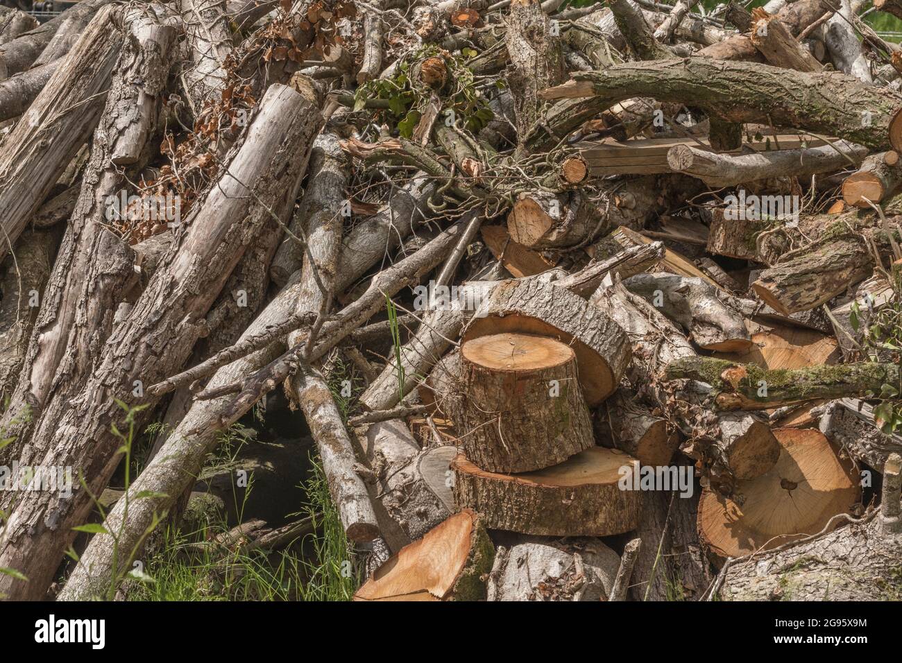 Nach dem Zufallsprinzip bestellter Holzstapel oder Feuerholz Haufen mit einigen Blöcken zum Hacken von Feuerholz aufgestellt. Für halten Sie die Eigenheibrände brennen, Winter Brennstoff-Zulassung Großbritannien. Stockfoto