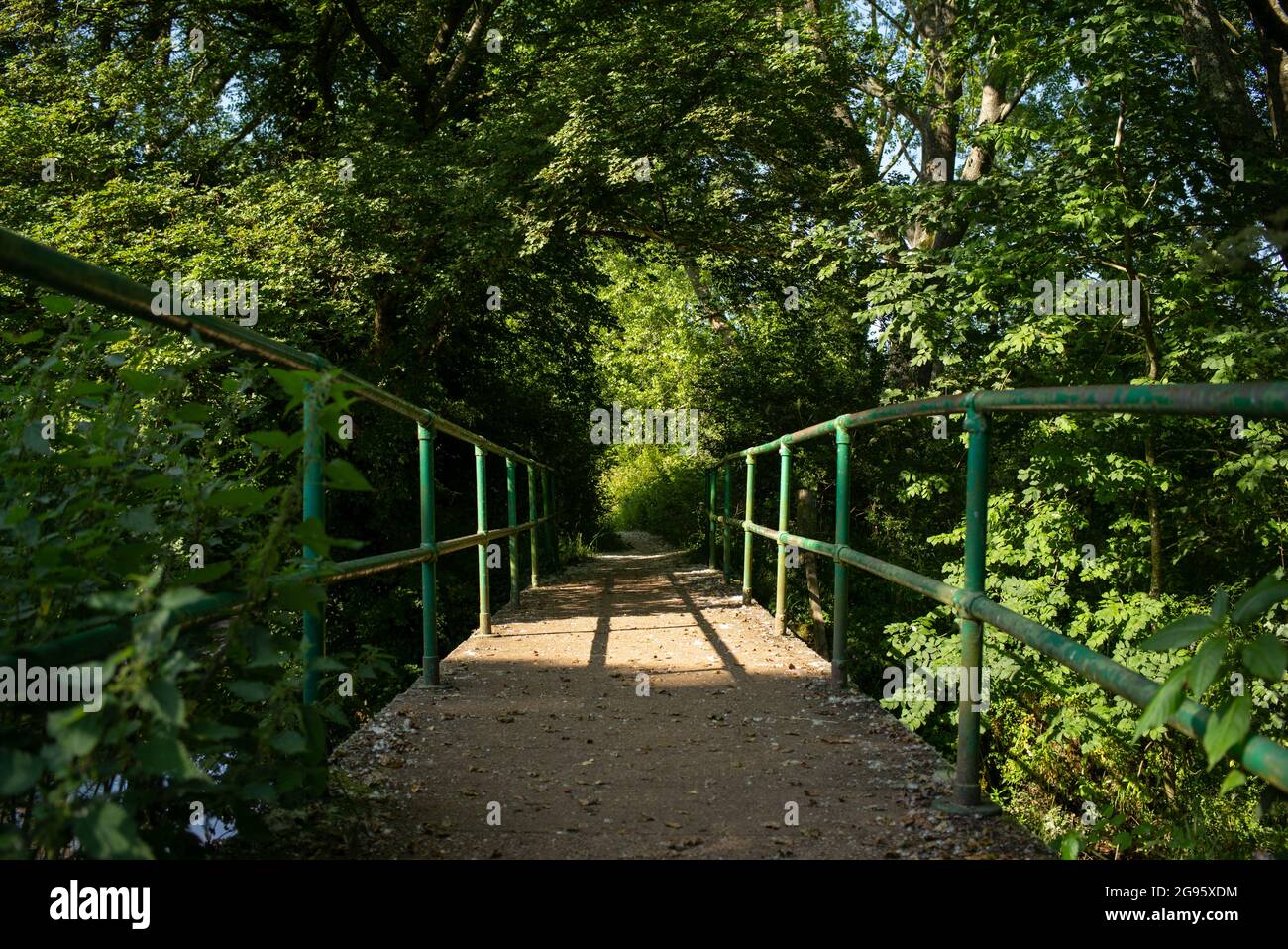 Eine eingleisige Brücke, die zu einem überwucherten Fußweg führt, mit grünen Handschienen, die Leitlinien verwenden, um die Perspektive zu erweitern. Mögliches Konzeptbild. Stockfoto