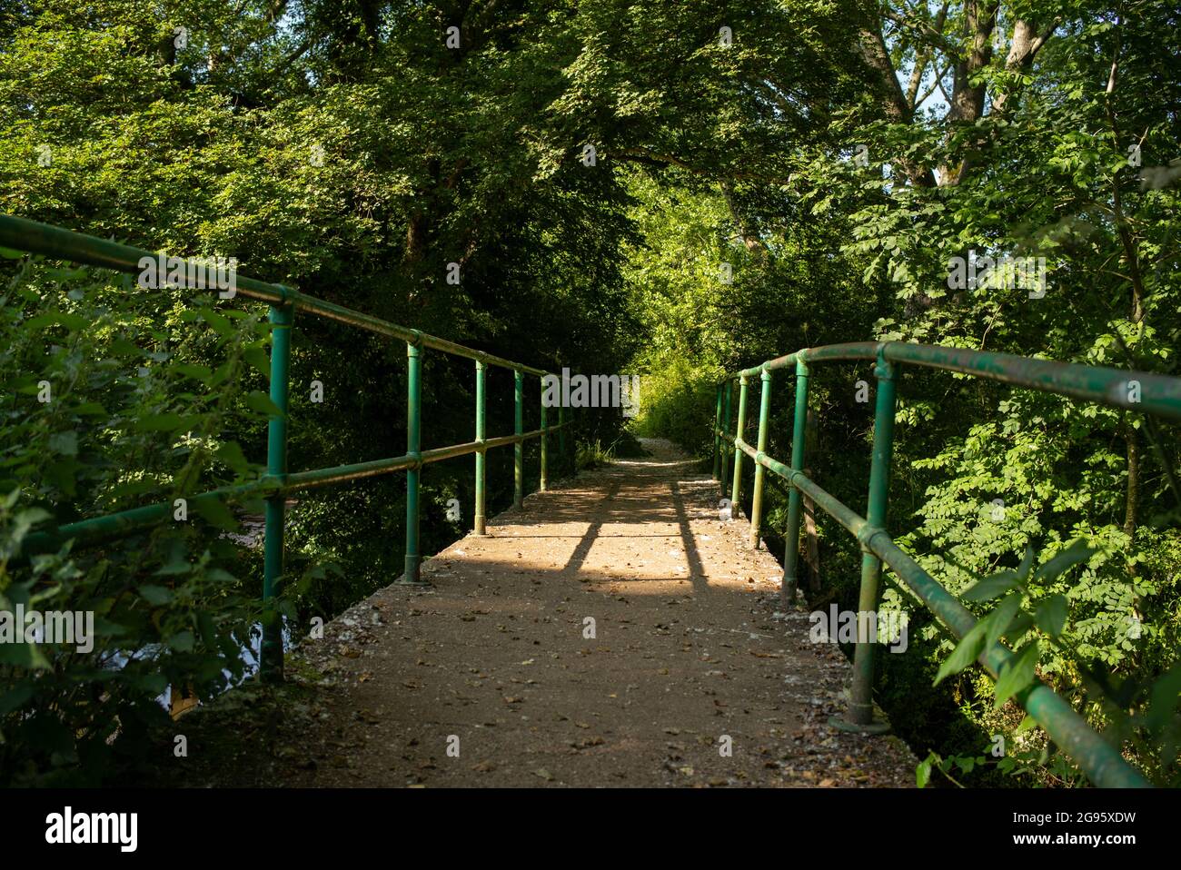 Eine eingleisige Brücke, die zu einem überwucherten Fußweg führt, mit grünen Handschienen, die Leitlinien verwenden, um die Perspektive zu erweitern. Mögliches Konzeptbild. Stockfoto