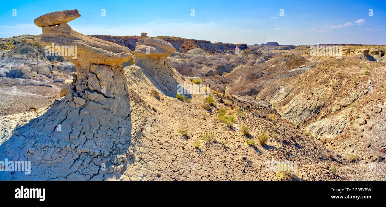 Fremdartige Hoodoos in einem Gebiet des Petrified Forest National Park Arizona, bekannt als die Flat Tops. Stockfoto