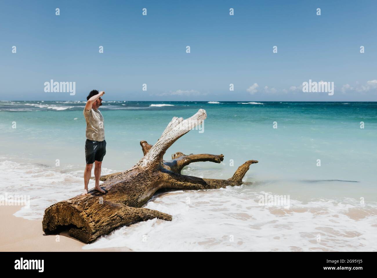 Der Mensch steht auf einem umgestürzten Baum und blickt auf das Meer an einem Strand auf Oahu Stockfoto