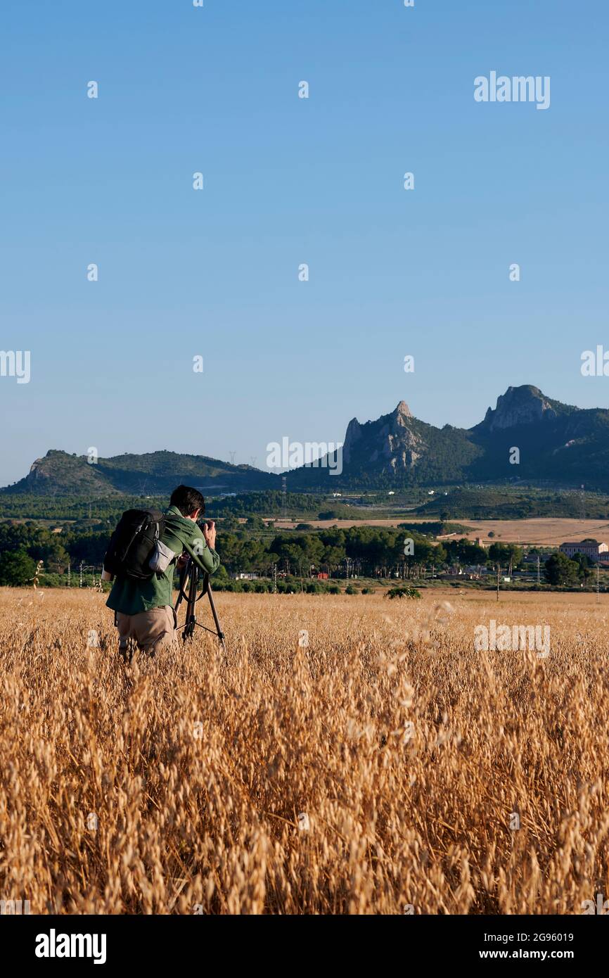 Ein männlicher Fotograf fotografiert einen Berg auf einer Wiese in der Natur Stockfoto