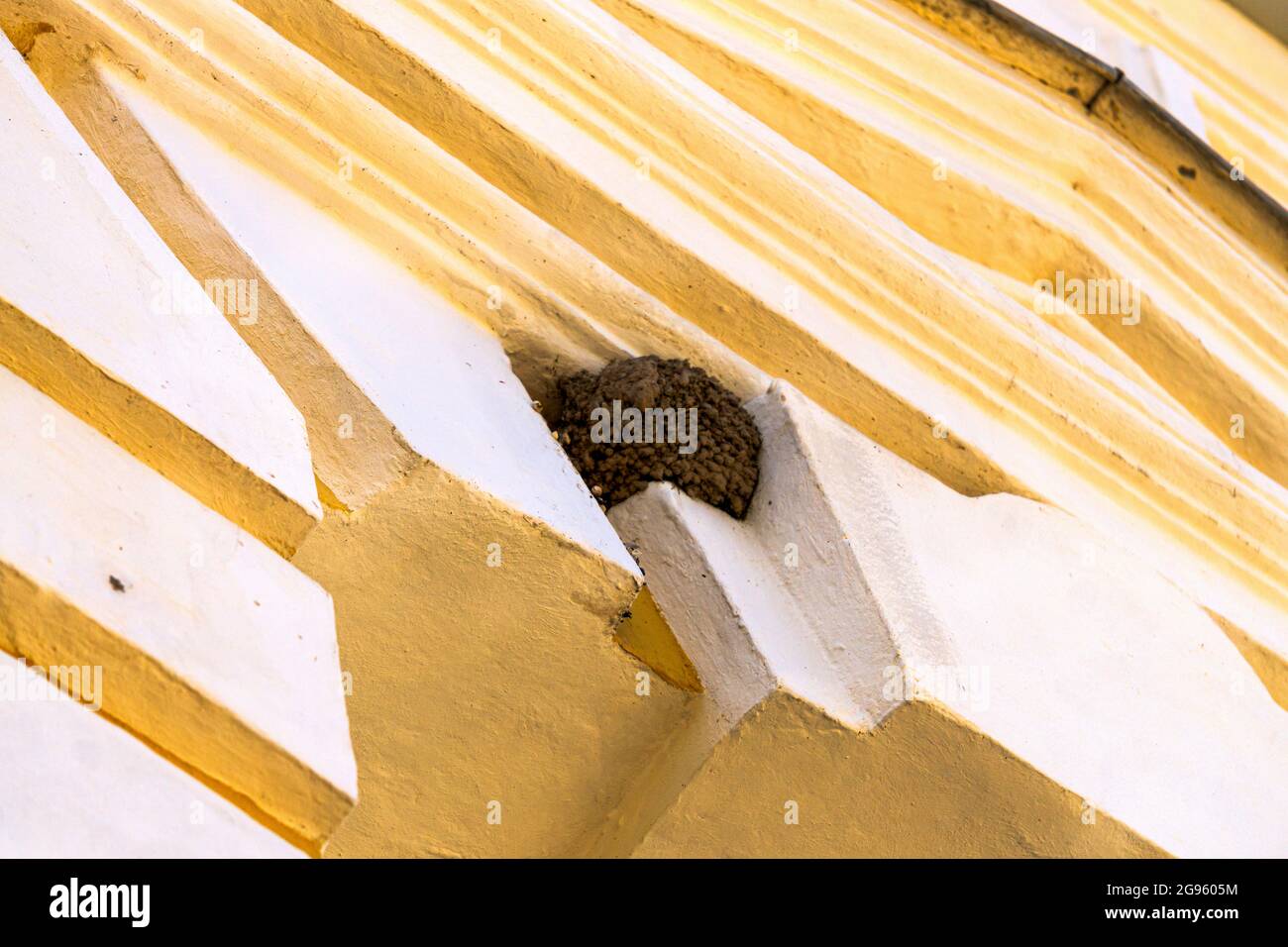Schwalben Nester in der Wand des Hauses unter dem Dach. Stockfoto