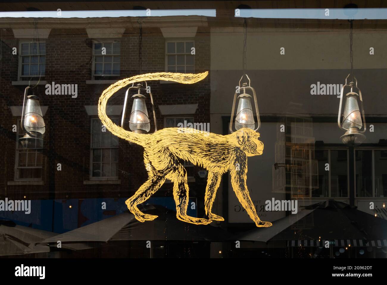 Illustration von Rudyard Kiplings Affen im Fenster des Restaurants Mowgli Indian Street Food in der Bold Street in Liverpool Stockfoto