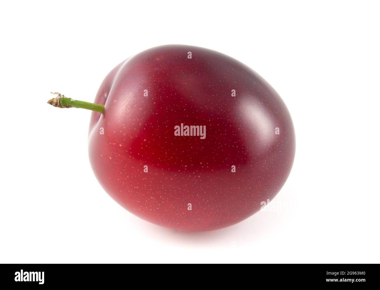 Reife rote Pflaumenfrüchte aus der Nähe isoliert auf weißem Hintergrund für eine einfache Auswahl Stockfoto