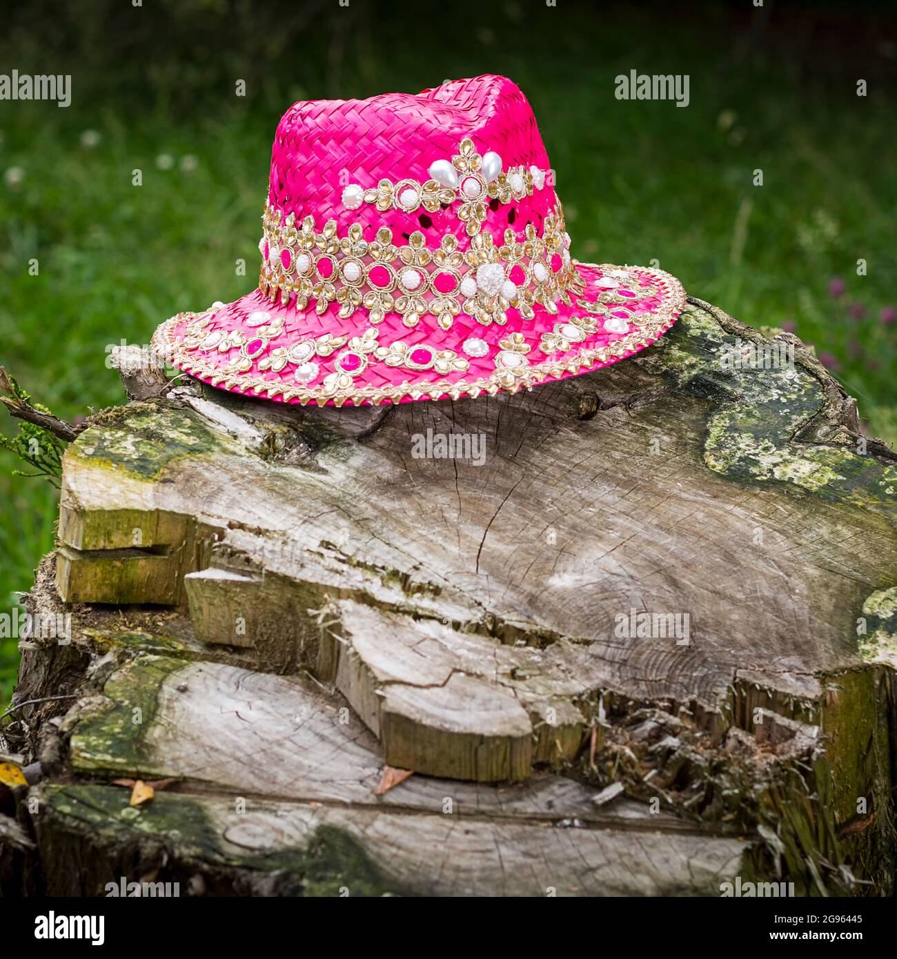 Outdoor-Stillleben eines hübschen rosa Hut auf einem natürlichen Holz log.The Foto hat Kopieplatz, um den Text, den Sie wollen und dies in quadratischem Format setzen. Stockfoto