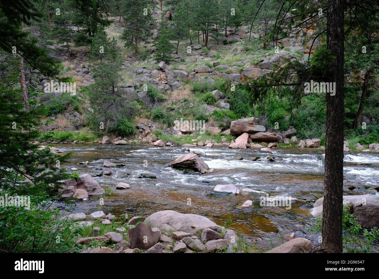 Button Rock Preserve River Foto Stockfoto