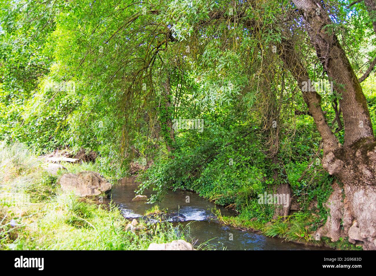Hueznar Fluss und Vegetation in San Nicolas del Puerto, Nord Sevilla Berg, Andalusien, Spanien Stockfoto