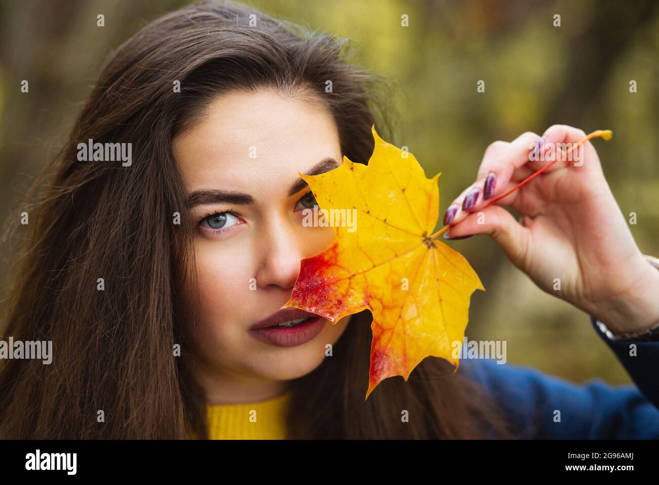 Junge Frau mit Herbstblättern in der Hand und Herbst gelb Ahorngarten Hintergrund. Stockfoto