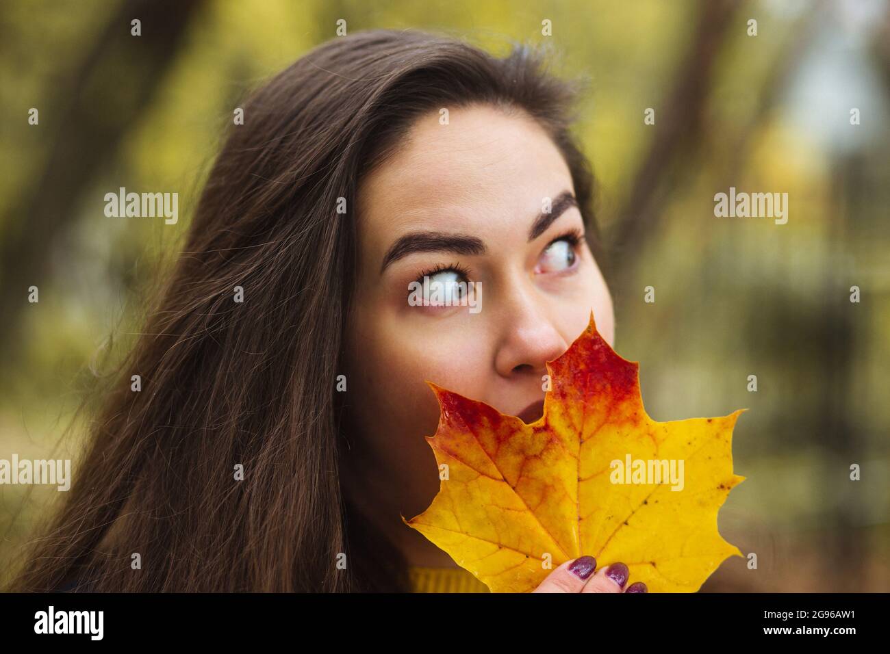 Junge Frau mit Herbstblättern in der Hand und Herbst gelb Ahorngarten Hintergrund. Stockfoto