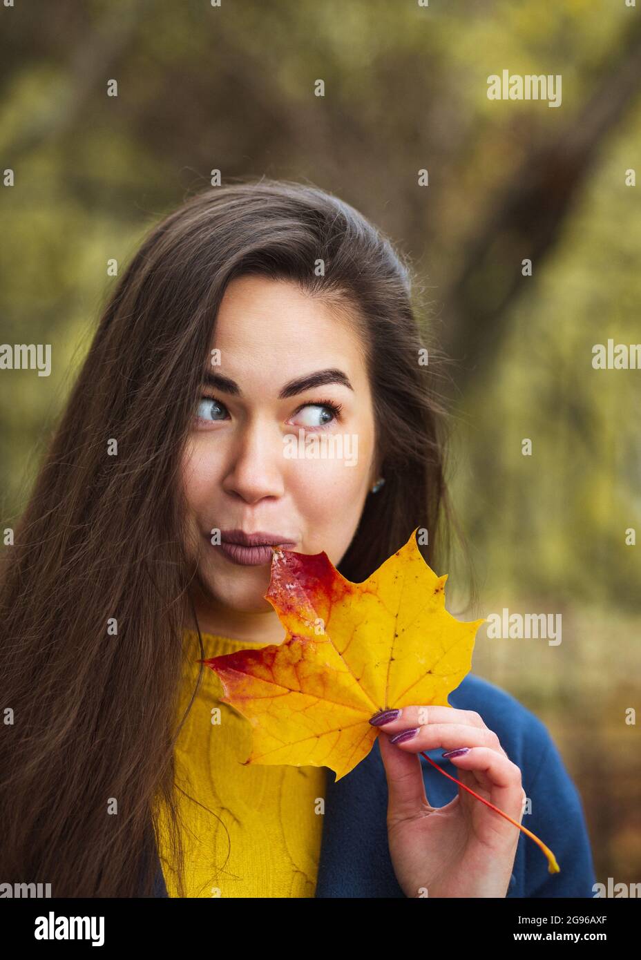 Junge Frau mit Herbstblättern in der Hand und Herbst gelb Ahorngarten Hintergrund. Stockfoto