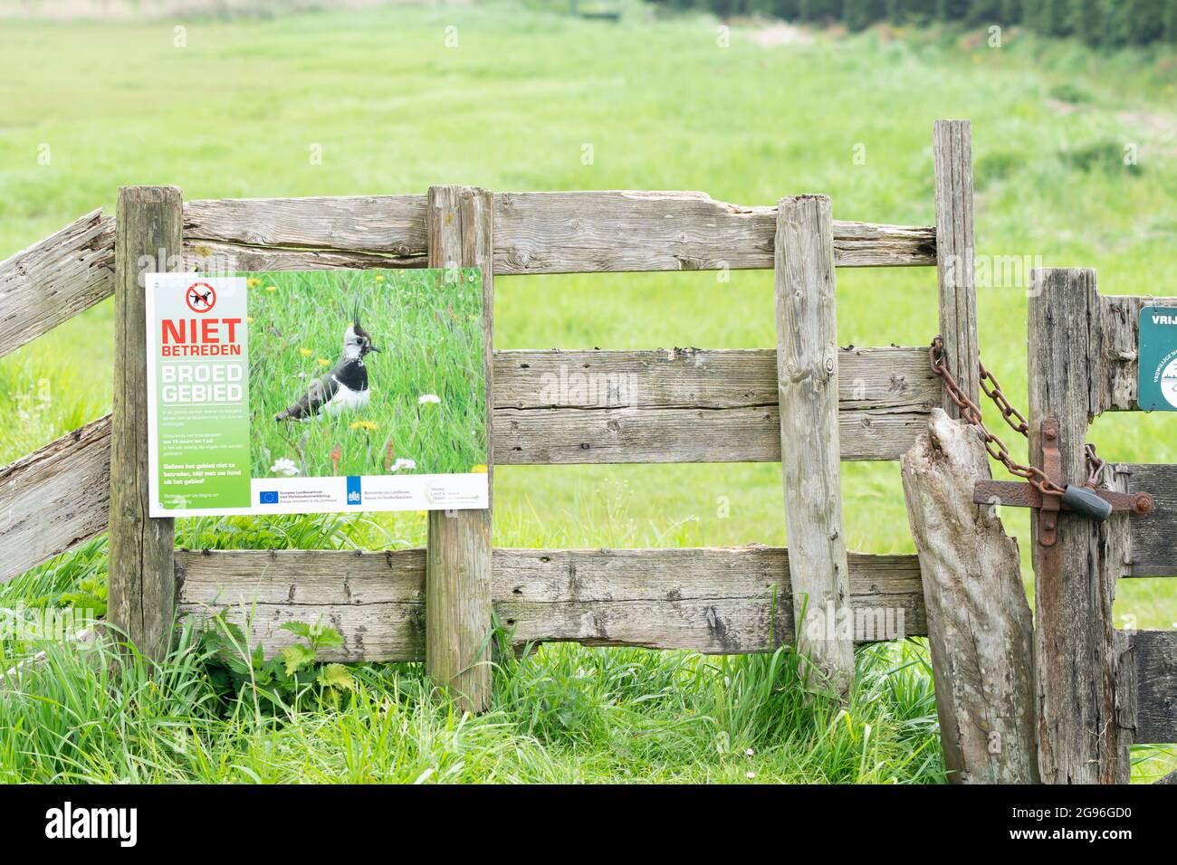 Holzwiesentor mit Kette und Vorhängeschloss und dem Schild: Nicht betreten: Brutgebiet. Landwirtschaftliche Erhaltung und Schutz von Wiesenvögeln Stockfoto