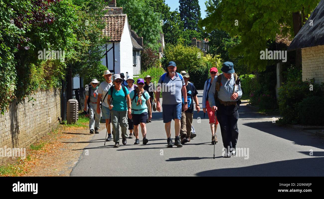 Wandergruppen wandern durch das Dorf Cambridgeshire von Hemmingford Abbots. Stockfoto