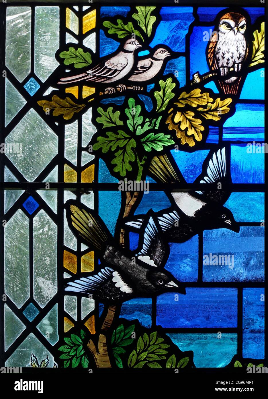Buntglasfenster mit Tauben, Elstern und Eulen- und Eichenblättern. Stockfoto