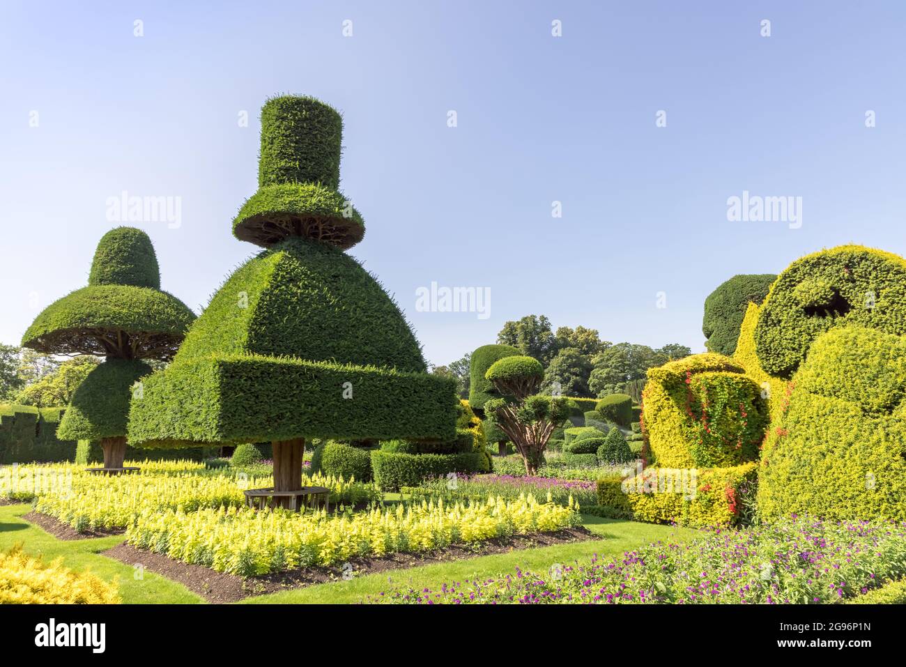 Fantastisch geformte Pflanzen im ältesten Topiarpark der Welt, der Levens Hall in Cumbria, Großbritannien. Stockfoto