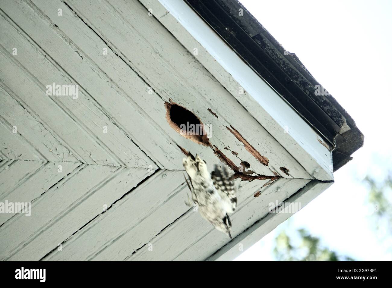 Traufe Schaden Fotos Und Bildmaterial In Hoher Aufl sung Alamy traufe-schaden-fotos-und-bildmaterial-in-hoher-aufl-sung-alamy