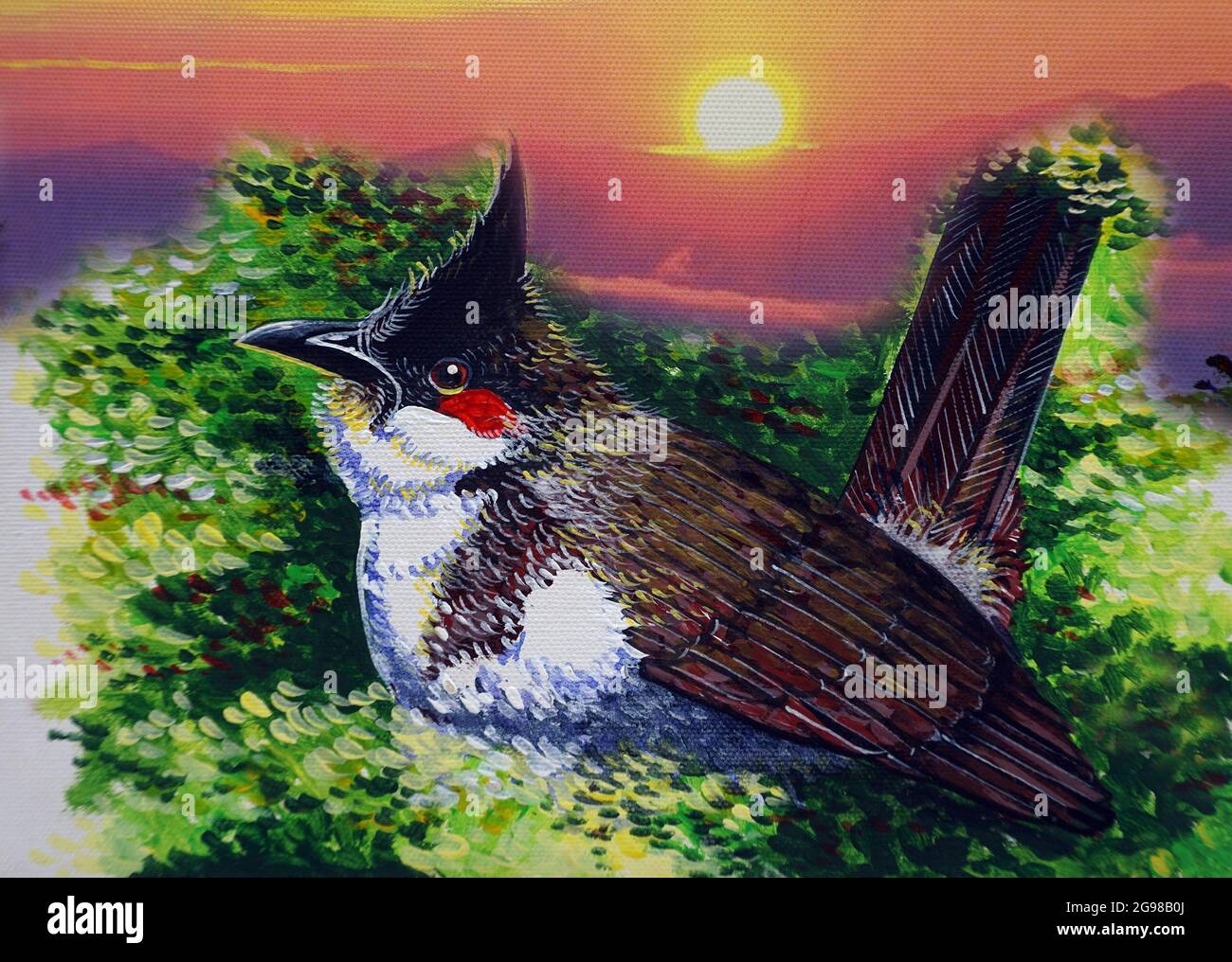 Kunst Malerei Ölfarbe Vögel , Sonnenaufgang , rot-Whiskered bulbul Stockfoto