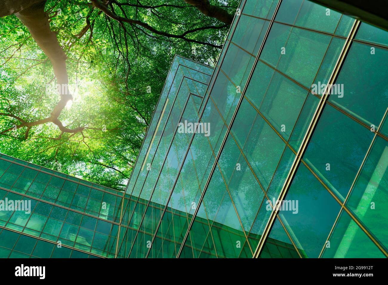 Umweltfreundliches Gebäude in der modernen Stadt. Grüne Äste mit Blättern und nachhaltiger Glasbau zur Reduzierung von Hitze und Kohlendioxid. Büro Stockfoto