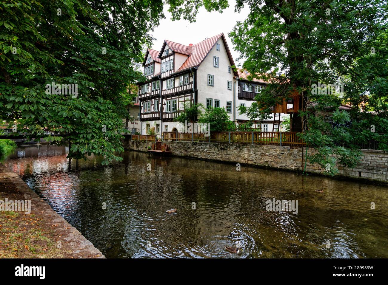 Haus am Gera Fluss in Erfurt, Deutschland Stockfoto