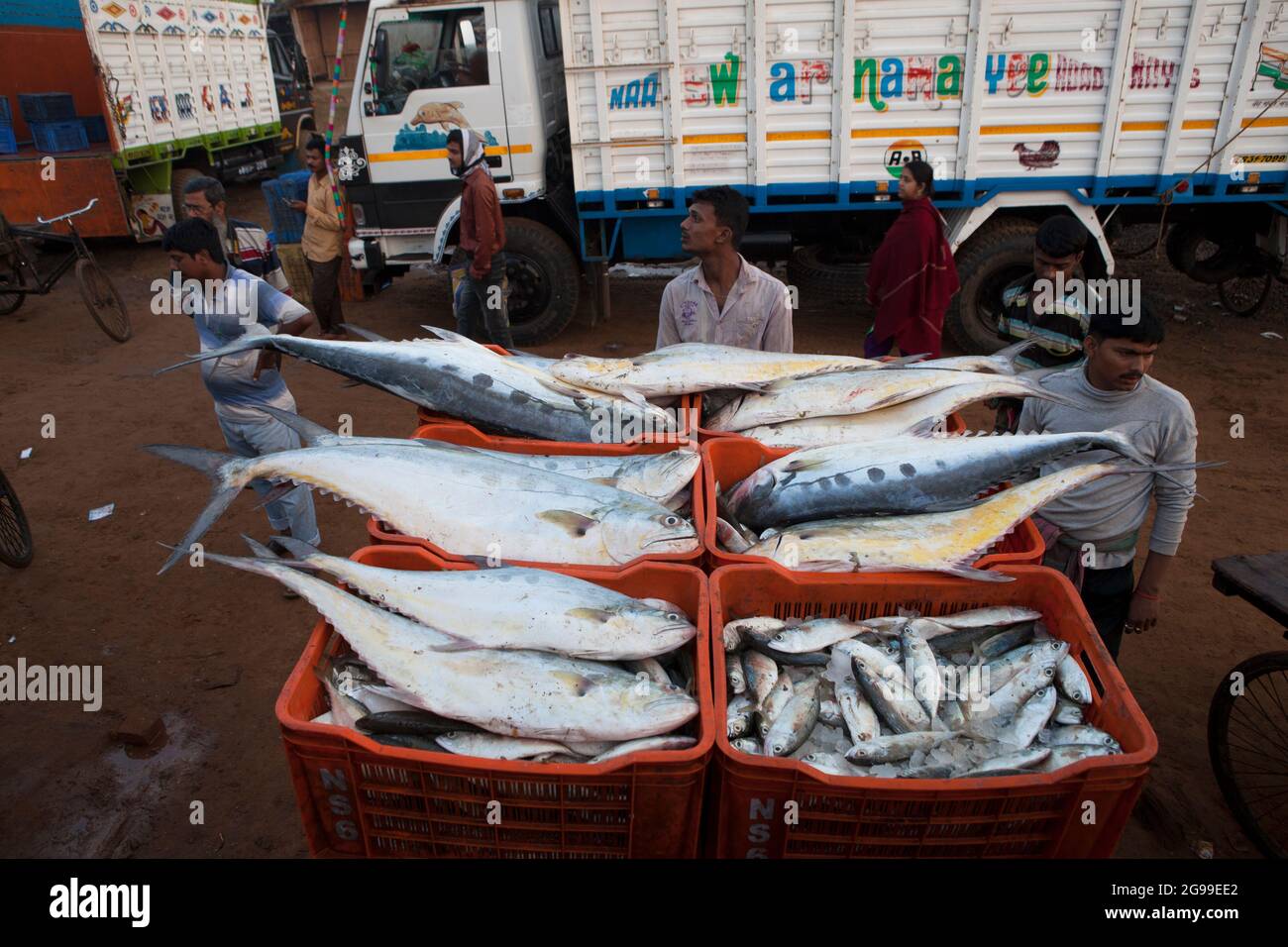 Geschäftige Aktivitäten auf dem Fischgroßmarkt in Digha, Westbengalen, Indien, einem der beliebtesten Touristenstrands Bengalens und einem der größten Fischmärkte. Stockfoto