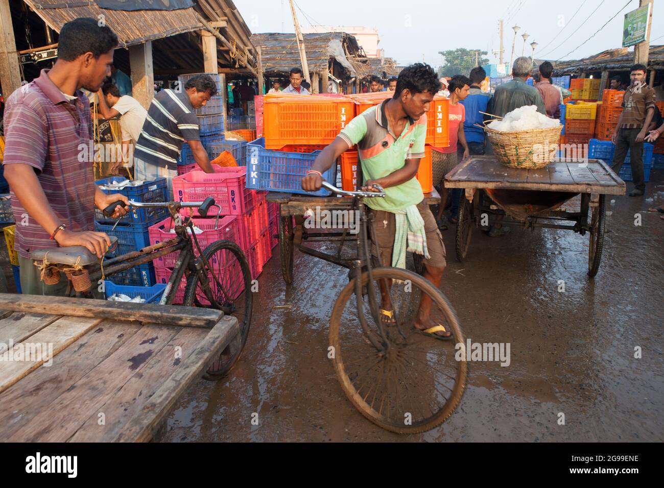 Geschäftige Aktivitäten auf dem Fischgroßmarkt in Digha, Westbengalen, Indien, einem der beliebtesten Touristenstrands Bengalens und einem der größten Fischmärkte. Stockfoto