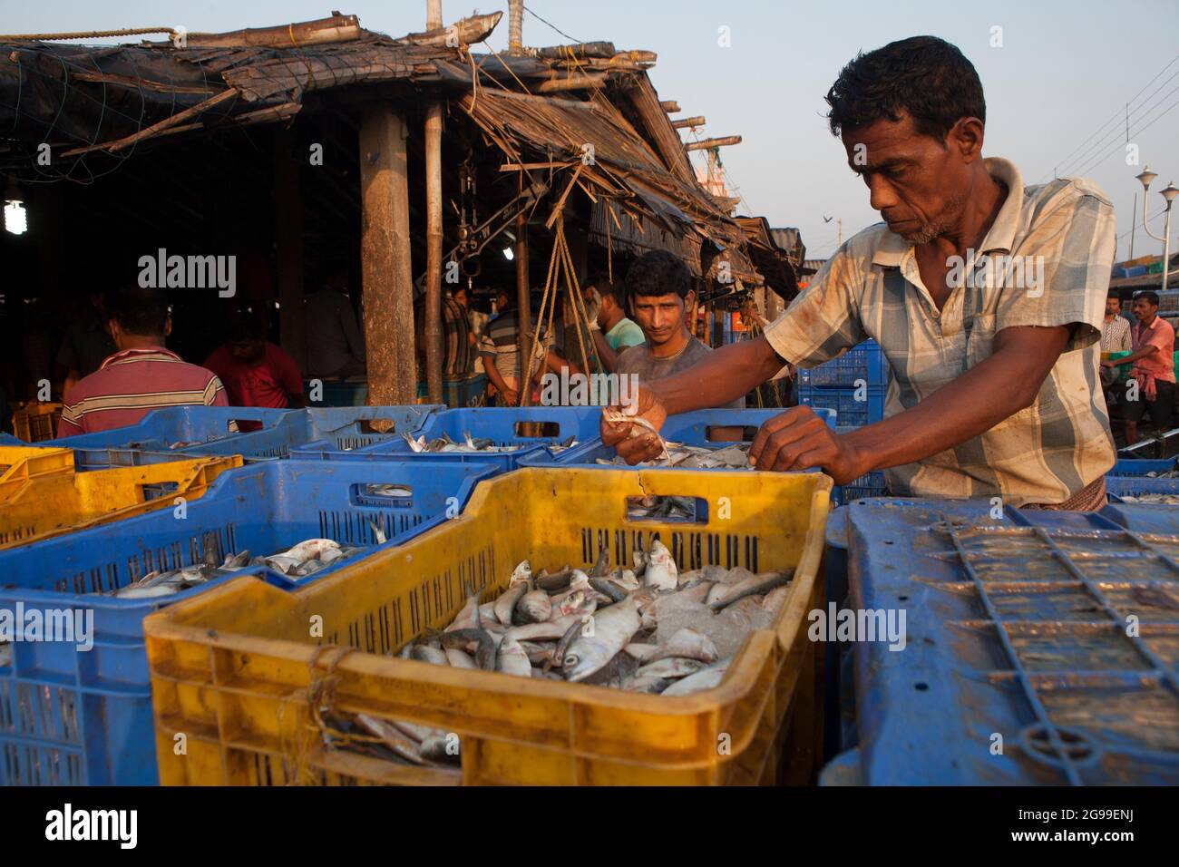 Geschäftige Aktivitäten auf dem Fischgroßmarkt in Digha, Westbengalen, Indien, einem der beliebtesten Touristenstrands Bengalens und einem der größten Fischmärkte. Stockfoto