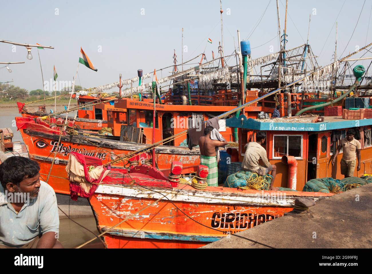 Fische werden im Sonnenlicht getrocknet, um verschiedene Fische in Trawlern zuzubereiten, die gerade von der Tiefseefischerei in der Bucht von Bengalen zurückgekehrt sind. Stockfoto