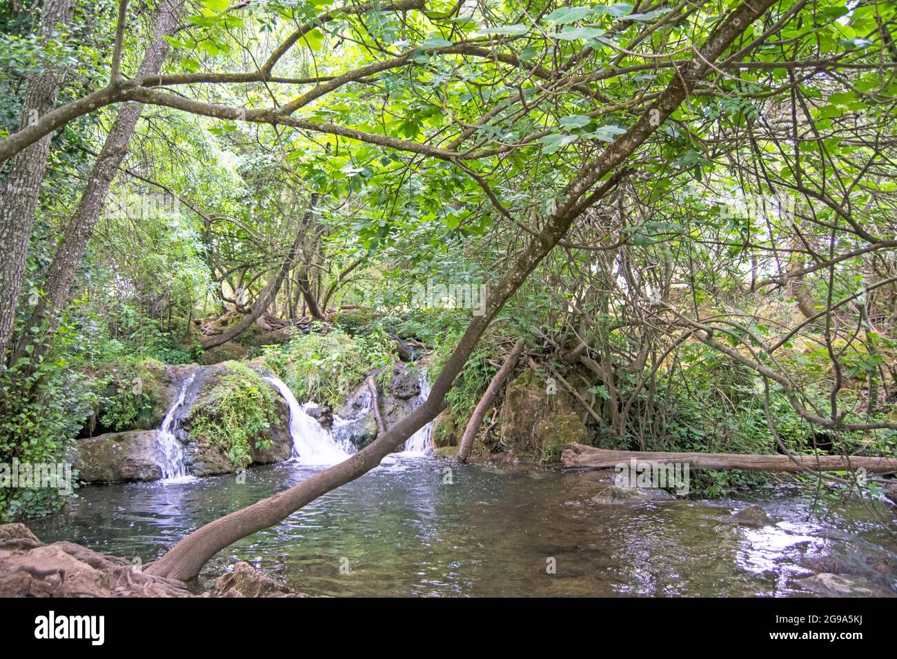 Wasserfall von Hueznar im Naturpark Sierra Norte in San Nicolas del Puerto, Sevilla, Andalusien, Spanien Stockfoto