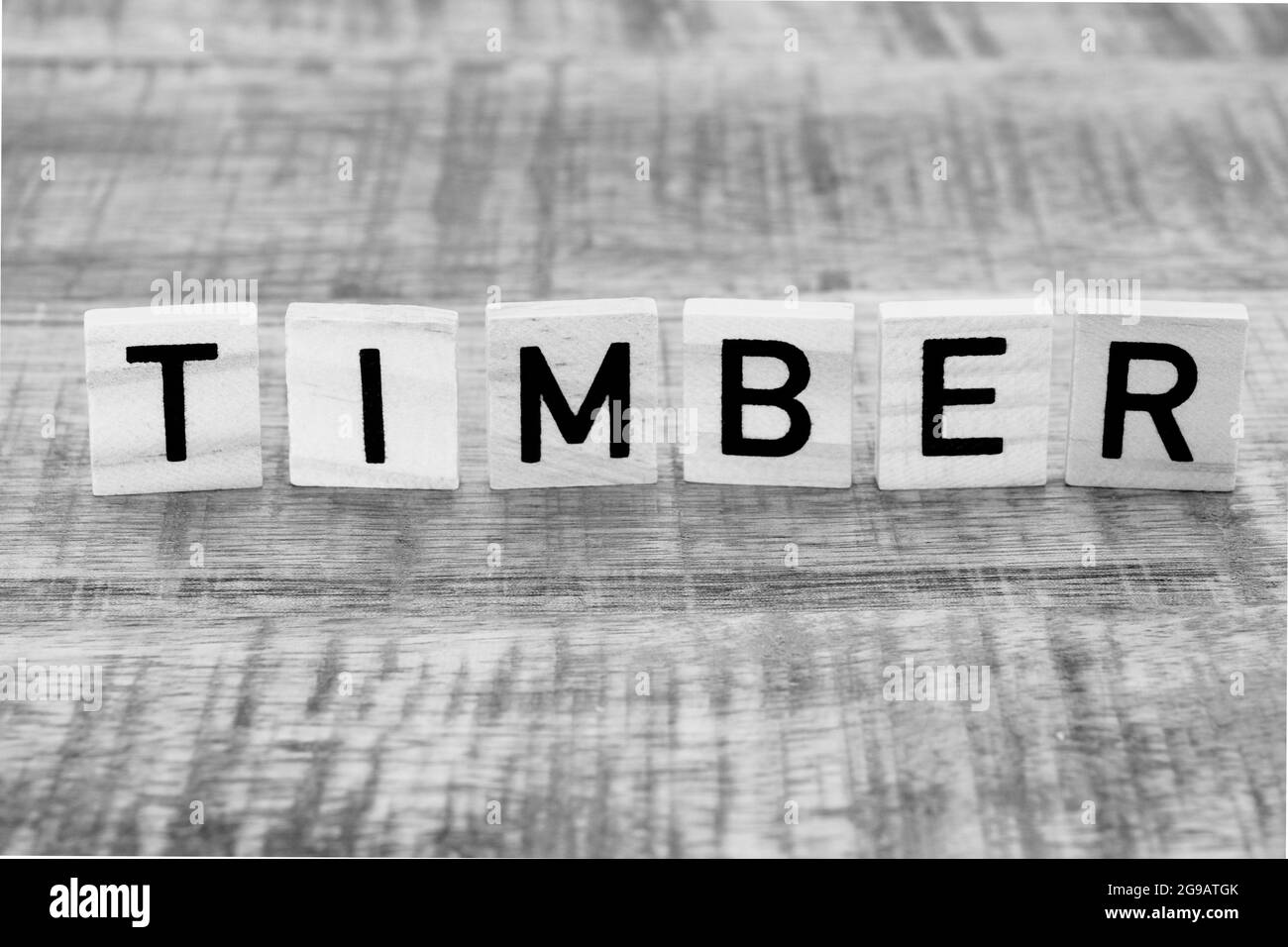 Holzblöcke bilden das Wort Holz Stockfoto