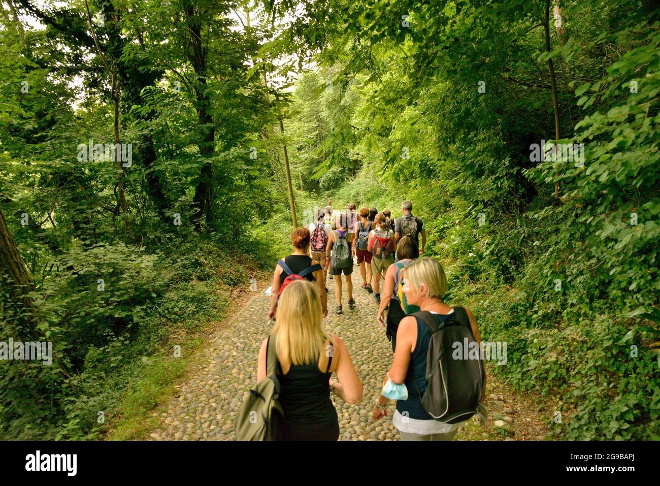 Menschen, die im Wald spazieren Stockfoto