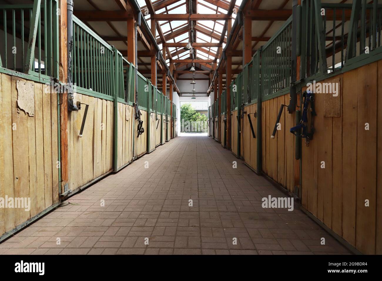 Im Inneren moderner klarer Stall oder Scheune mit Pferdekisten. Blick auf den Durchgang in natürlichem Licht am Ende. Leeren Stall im Stall geräumt halten Sporthoren Stockfoto