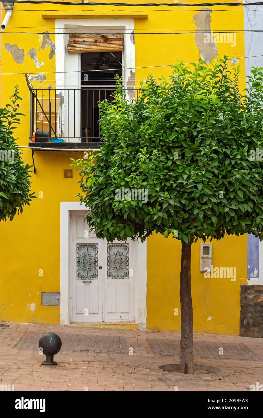 Baum und gelb bemalte Hausfront, Villajoyosa, Spanien Stockfoto