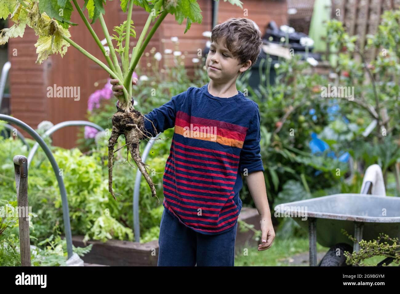 Finger jahr Fotos und Bildmaterial in hoher Auflösung Alamy
