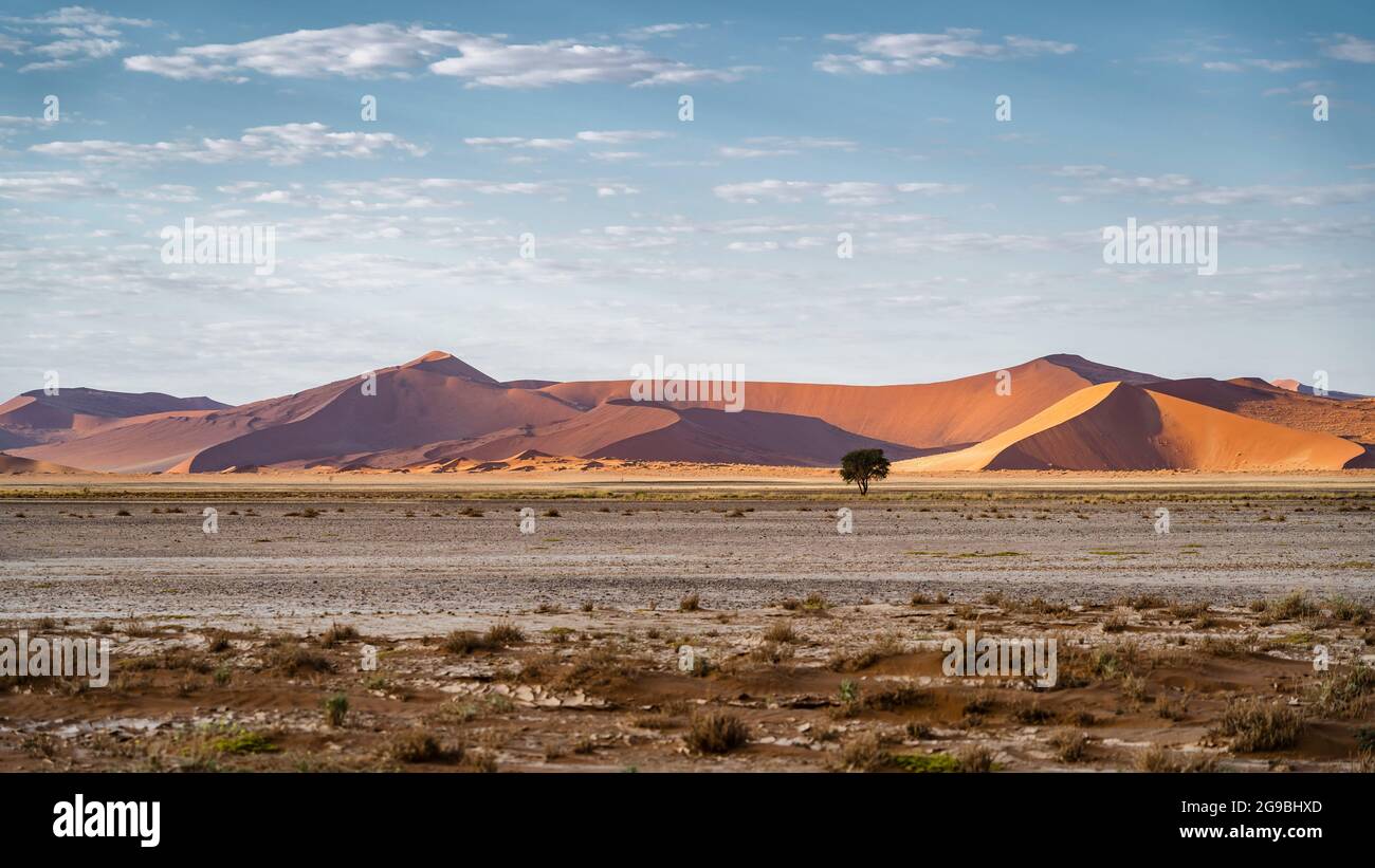 Hoch aufragende Sanddünen in der Nähe von Sossusvlei im Namib-Naukluft National Park, Namibia, Afrika. Stockfoto