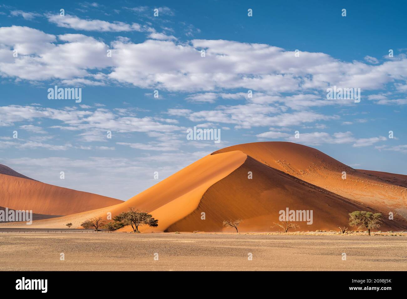 Hoch aufragende Sanddünen um Sossusvlei im Namib-Naukluft National Park, Namibia, Afrika. Stockfoto