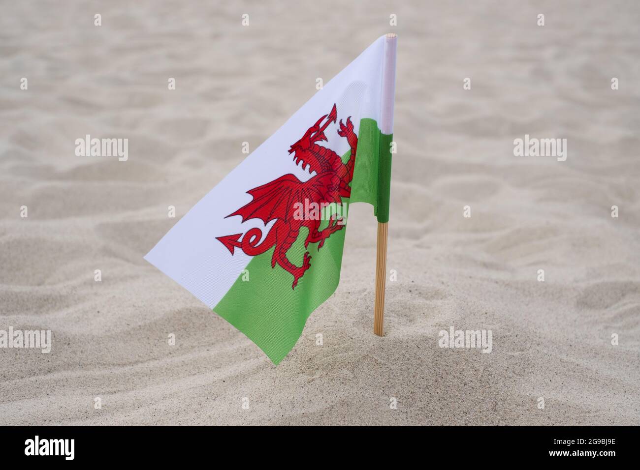 Walisische Flagge winkt im Wind am Sommerstrand. Flagge von Wales auf Sandgrund Stockfoto