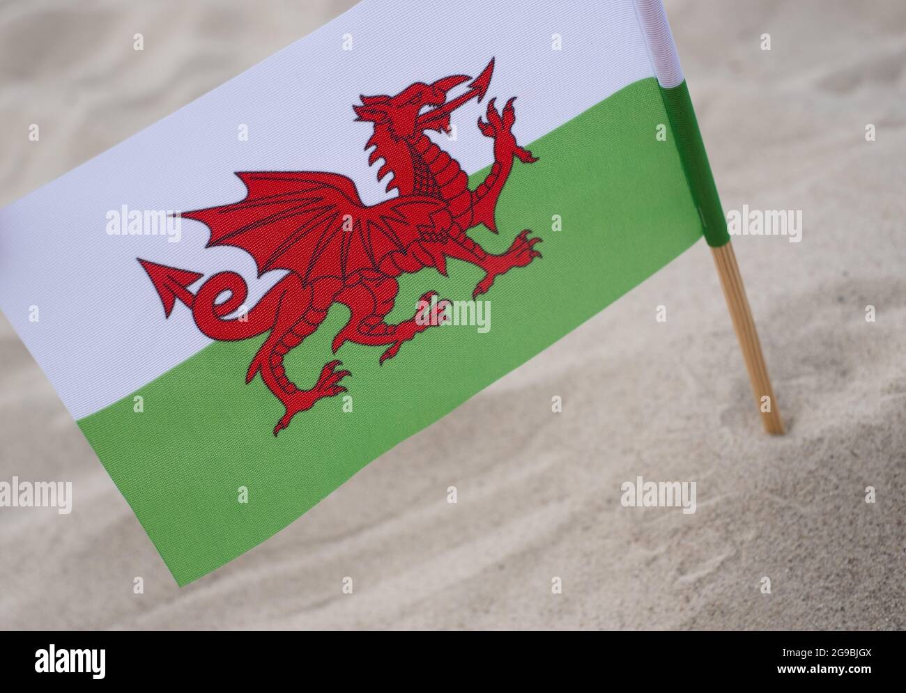 Walisische Flagge winkt im Wind am Sommerstrand. Flagge von Wales auf Sandgrund Stockfoto