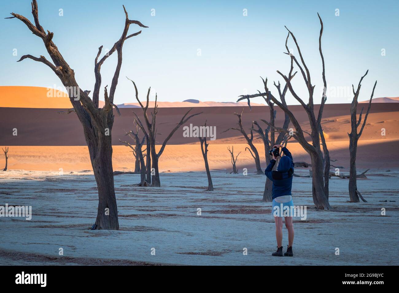 Namib-Naukluft National Park, Namibia - 8. Juni 2021: Touristen fotografieren tote Kameldornbäume bei Sonnenaufgang in Deadvlei, Namib-Naukluft National Pa Stockfoto