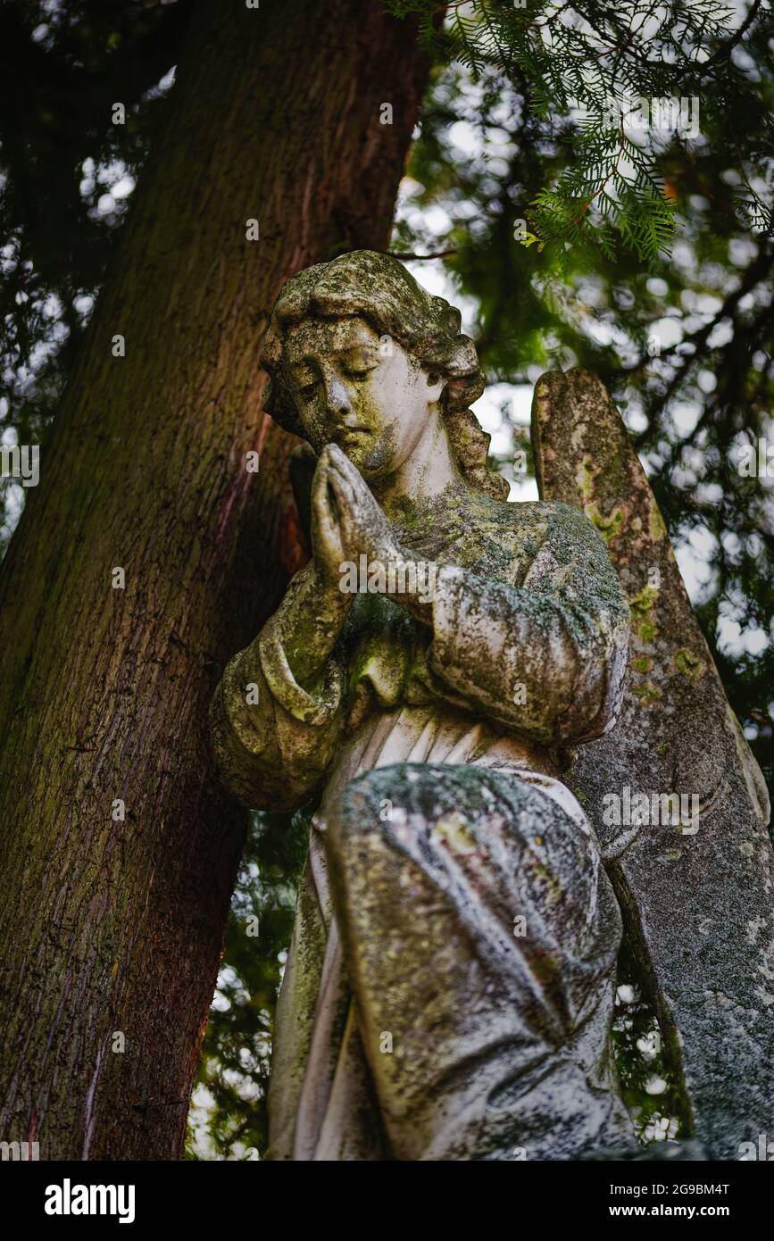 Friedhof mit viktorianischen Ornamenten Stockfoto