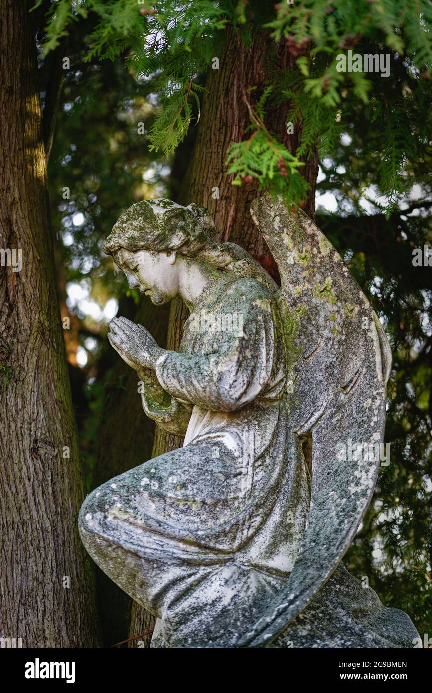 Friedhof mit viktorianischen Ornamenten Stockfoto