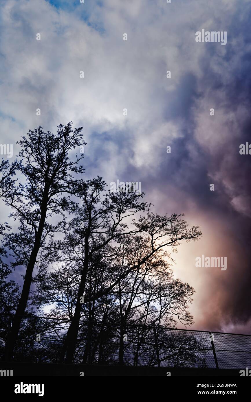 Ländliche Szene mit Bäumen und Himmel Stockfoto