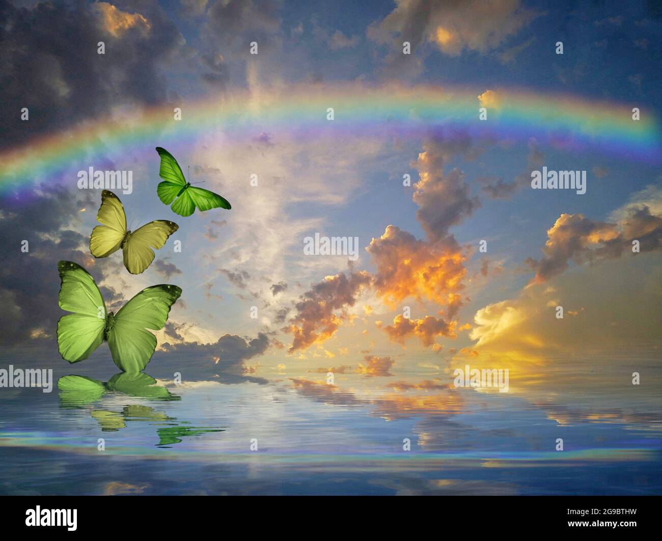 Natürlicher Hintergrund mit Schmetterlingen und Regenbogen im Meer Reflexion Stockfoto