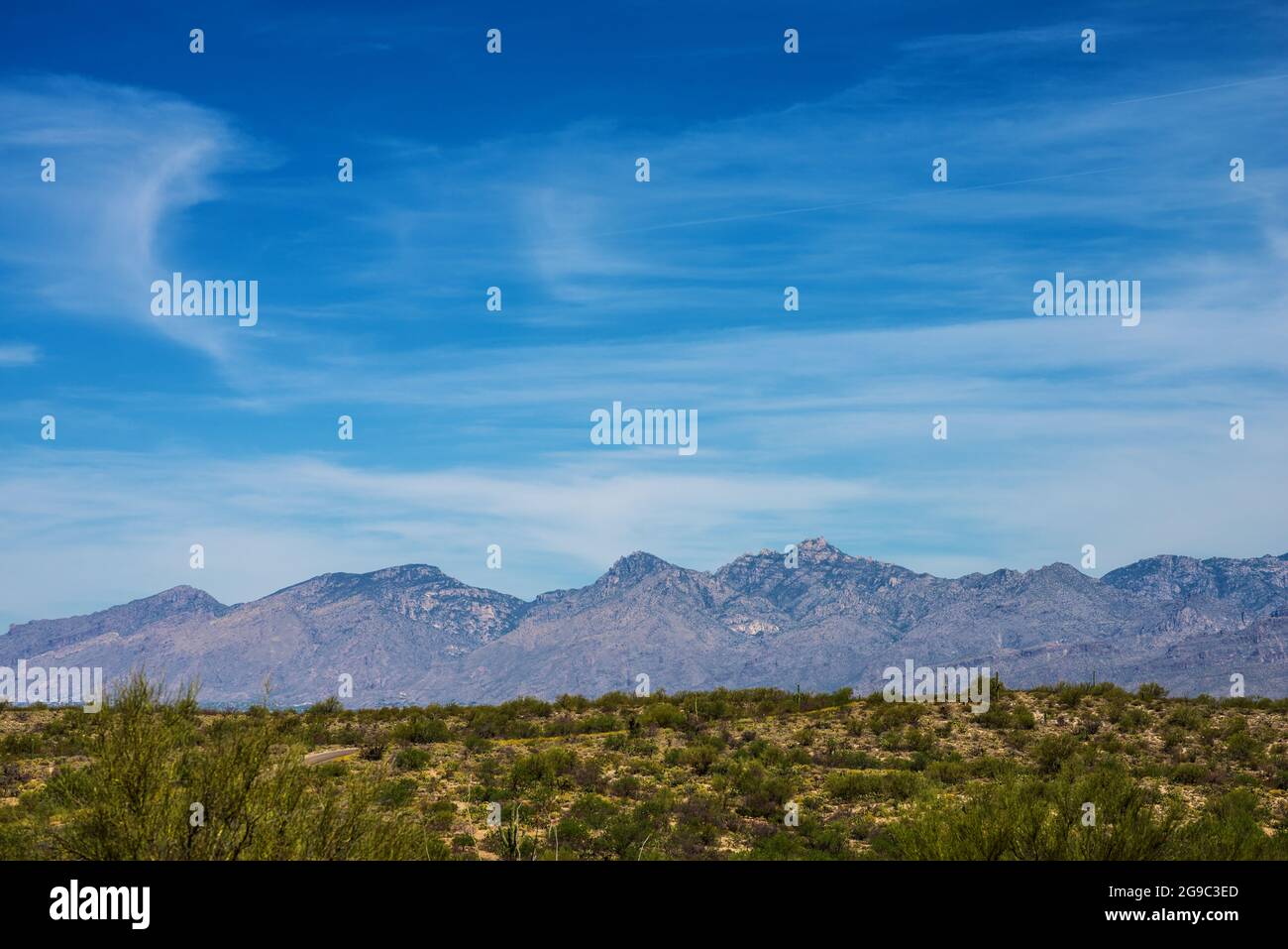 Der wunderschöne Saguaro National Park in Arizona Stockfoto