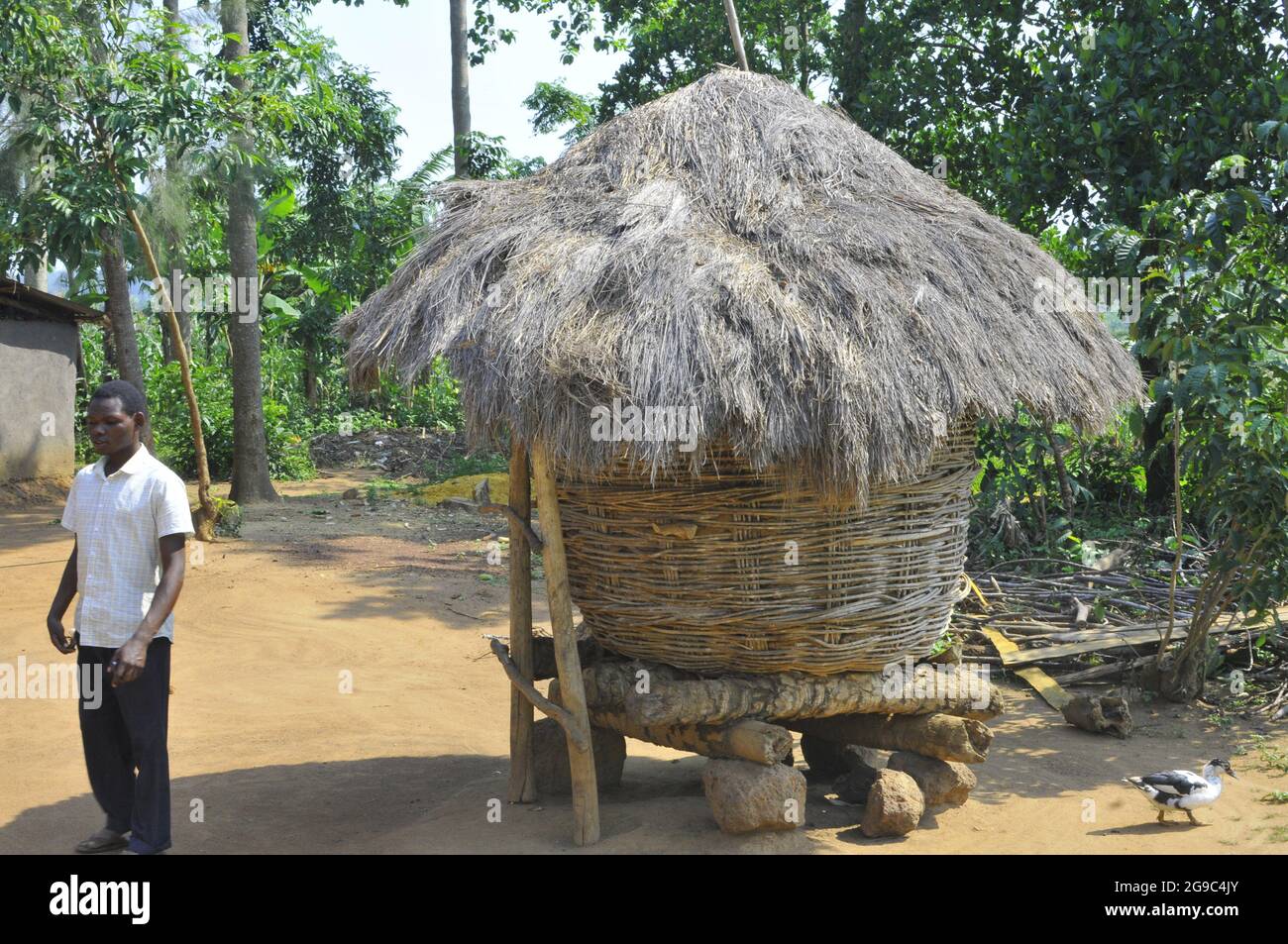 Ein Junge, der in einem Getreidespeicher im Bezirk Busia steht, der als Geschäfte genutzt wurde, um die Ernährungssicherheit in den Gemeinden zu bekämpfen. Mit der Urbanisierung leben die Menschen von Hand zu Mund, daher verschwinden solche Lebensmittelgeschäfte. Ostuganda. Stockfoto