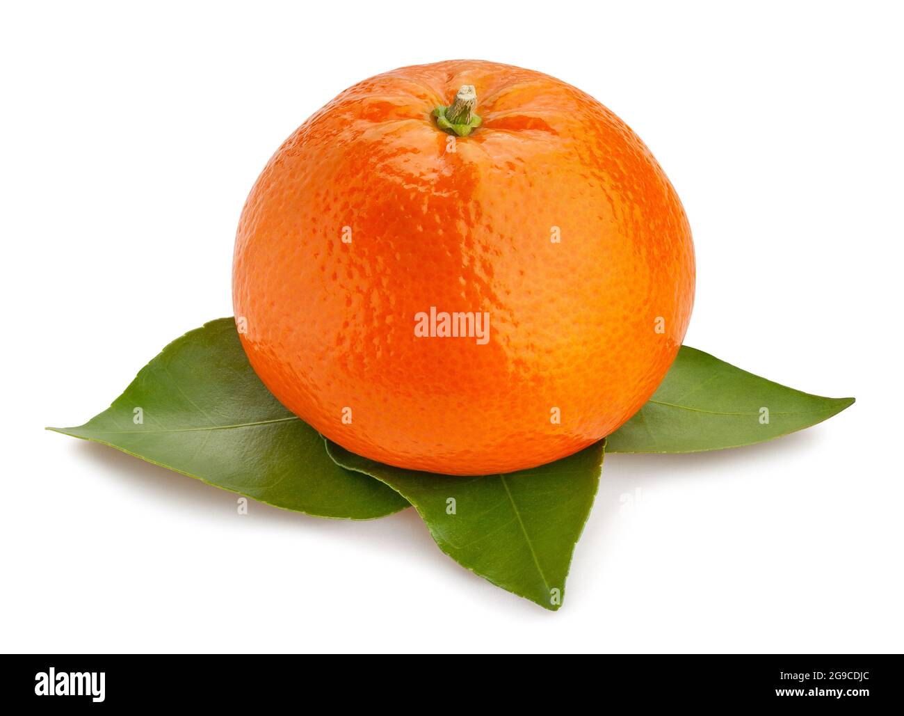 Mandarinenpfad auf weiß isoliert Stockfoto
