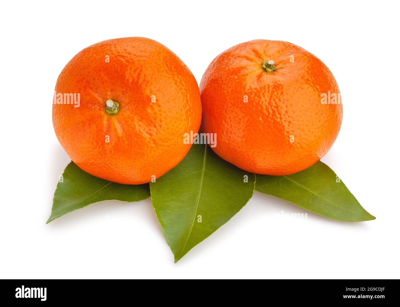 Mandarinenpfad auf weiß isoliert Stockfoto